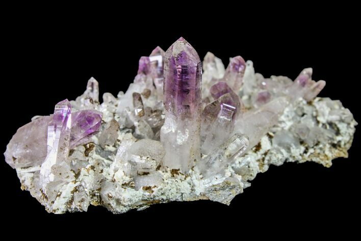 Amethyst Crystal Cluster - Las Vigas, Mexico #155390